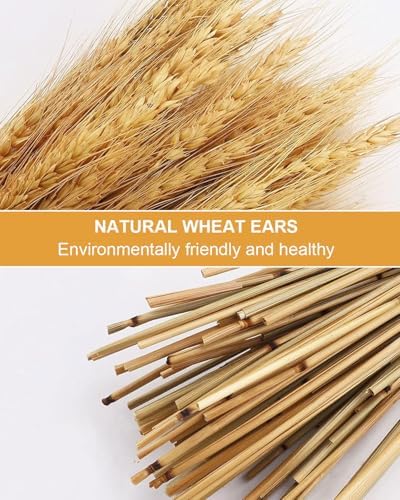 Vue 3 de Kgduyc Pieces Decorations Naturelles