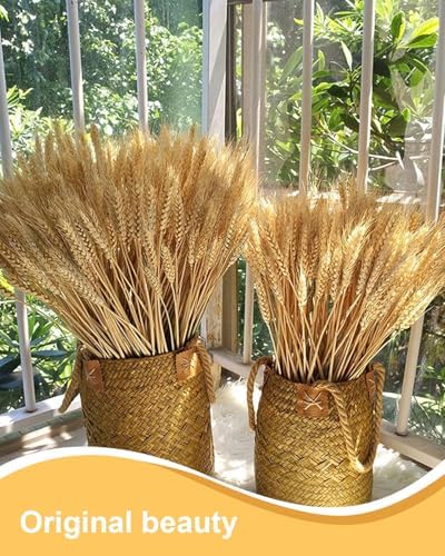 Vue 4 de Kgduyc Pieces Decorations Naturelles