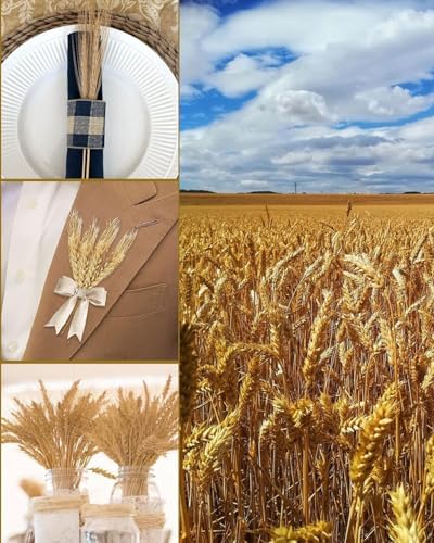 Vue 5 de Kgduyc Pieces Decorations Naturelles