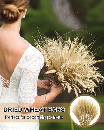 Vue 6 de Kgduyc Pieces Decorations Naturelles