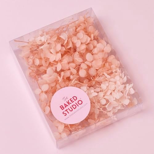 Vue 2 de The Baked Studio Kit