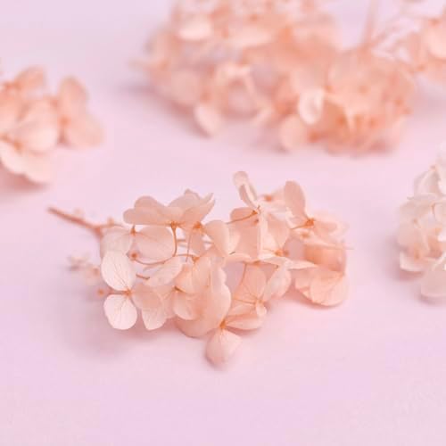 Vue 3 de The Baked Studio Kit