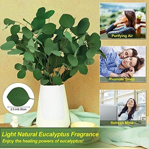 Vue 3 de Oning Eucalyptus Seche Pour