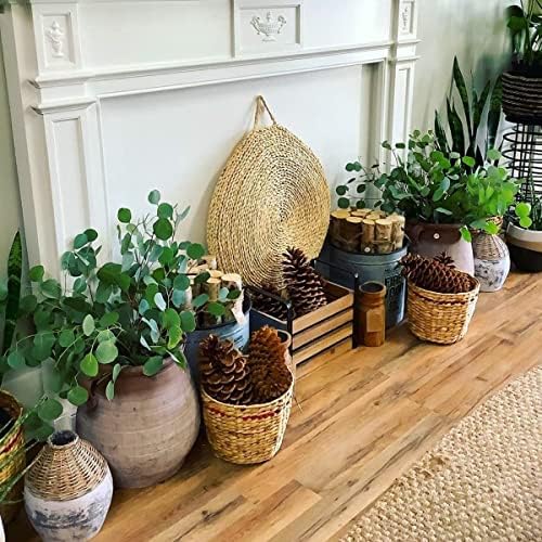 Vue 6 de Oning Eucalyptus Seche Pour