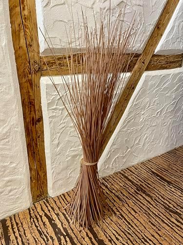 Vue 2 de Paquet Saules Cm Brun