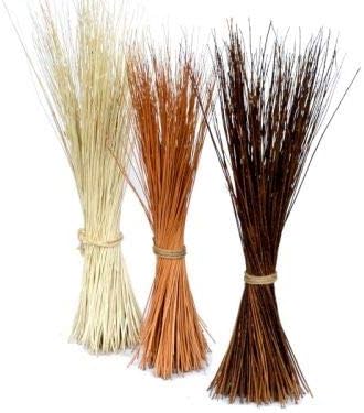 Vue 4 de Paquet Saules Cm Brun