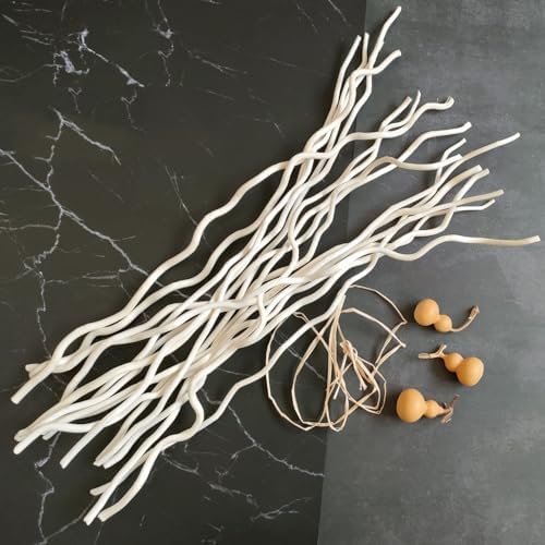 Vue 3 de Branches De Saule Tortueux