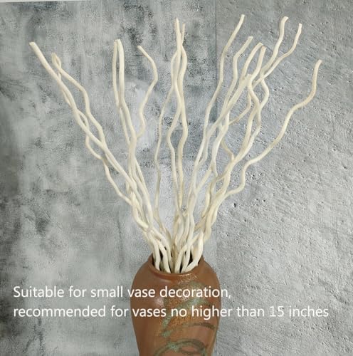 Vue 2 de Dongarts Cm De Long