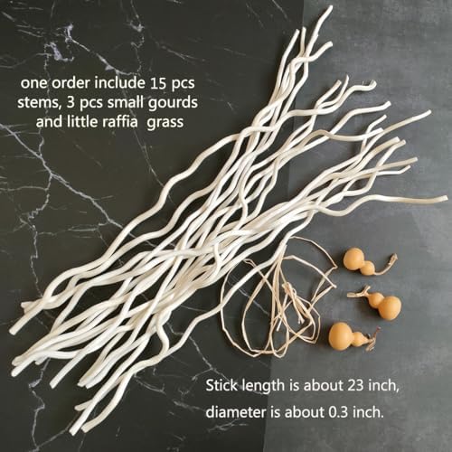 Vue 3 de Dongarts Cm De Long