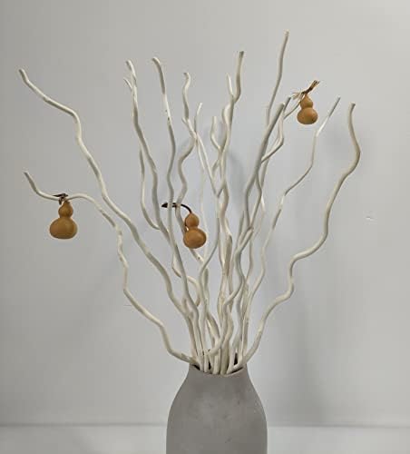 Vue 4 de Dongarts Cm De Long