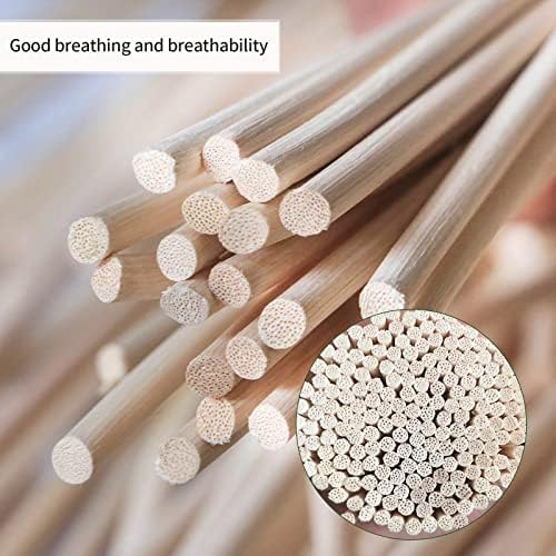 Vue 4 de Jackfru Schardt Rotin En