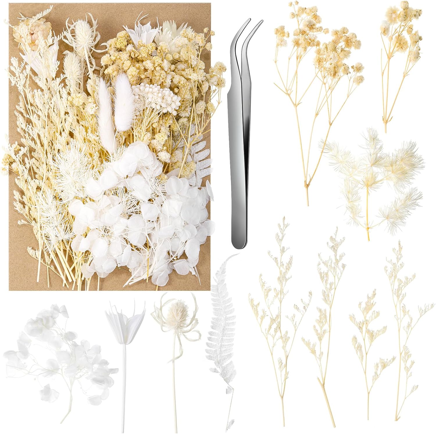 Aurorayer Fleurs Sechees Blanche