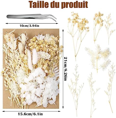 Vue 2 de Aurorayer Fleurs Sechees Blanche