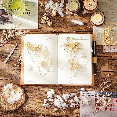 Vue 4 de Aurorayer Fleurs Sechees Blanche