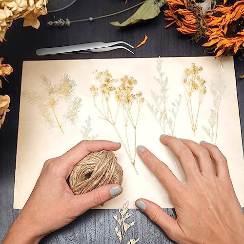 Vue 6 de Aurorayer Fleurs Sechees Blanche