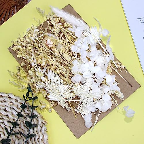 Vue 7 de Aurorayer Fleurs Sechees Blanche