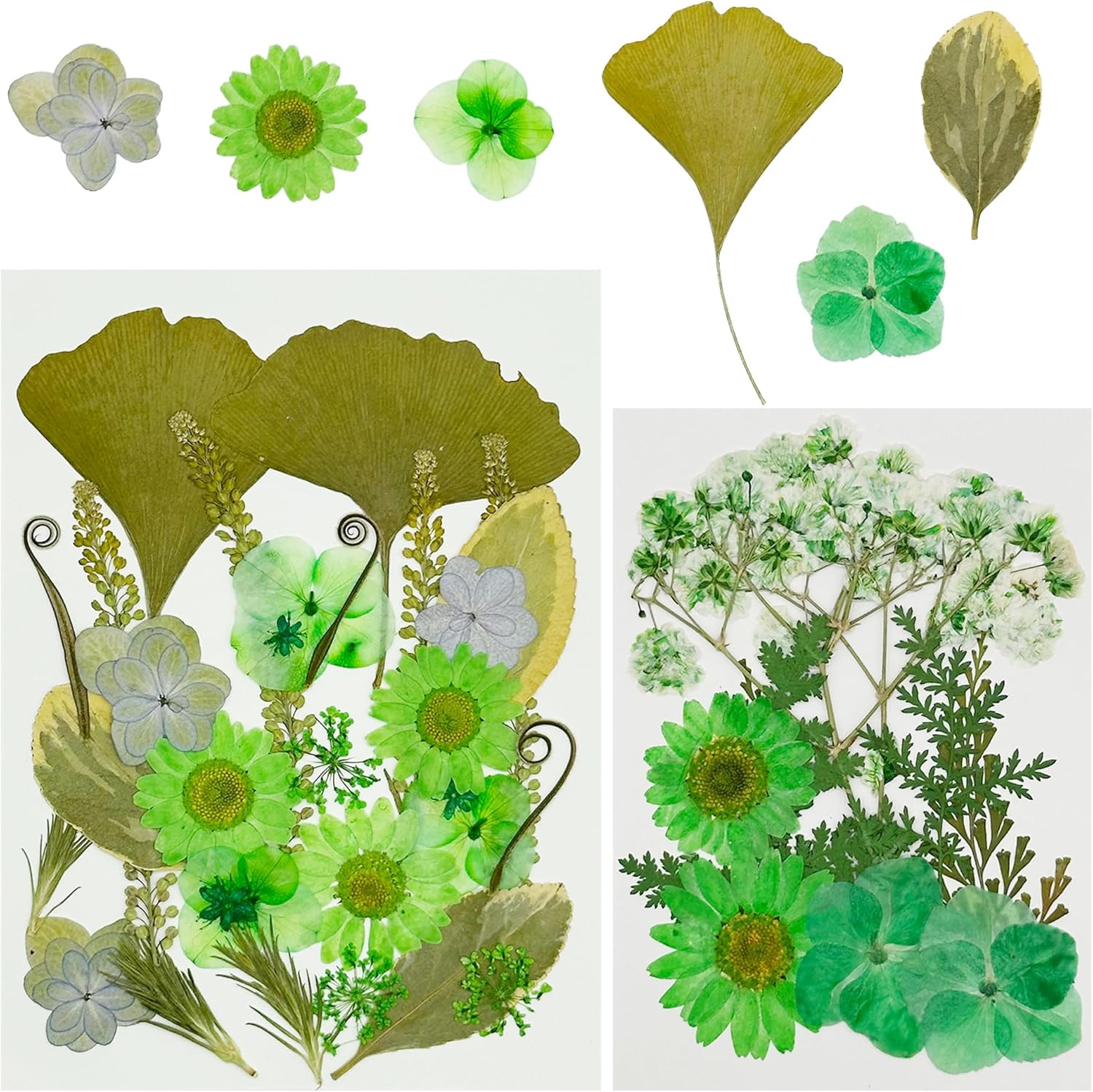 Cayway Pcs Bricolage Fleurs