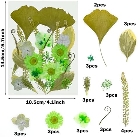 Vue 2 de Cayway Pcs Bricolage Fleurs