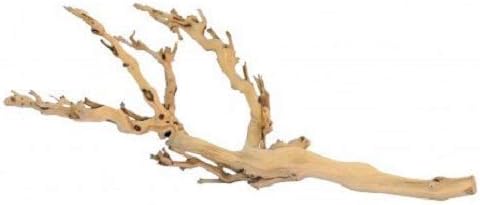 Vue 2 de Exo Terra Bois Dornement