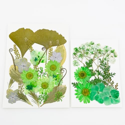 Vue 4 de Cayway Pcs Bricolage Fleurs