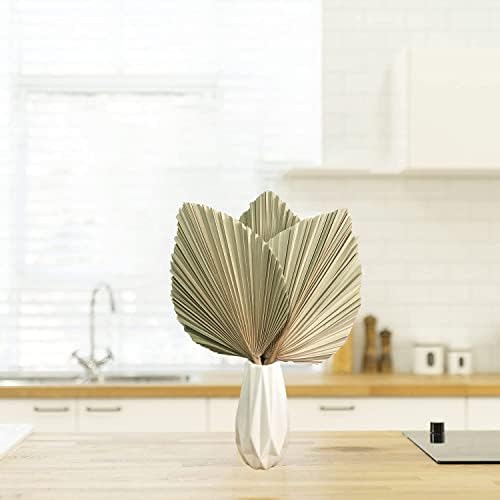 Vue 4 de Dongarts Feuilles De Palmier