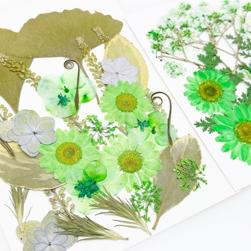 Vue 5 de Cayway Pcs Bricolage Fleurs