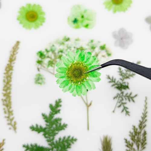 Vue 6 de Cayway Pcs Bricolage Fleurs