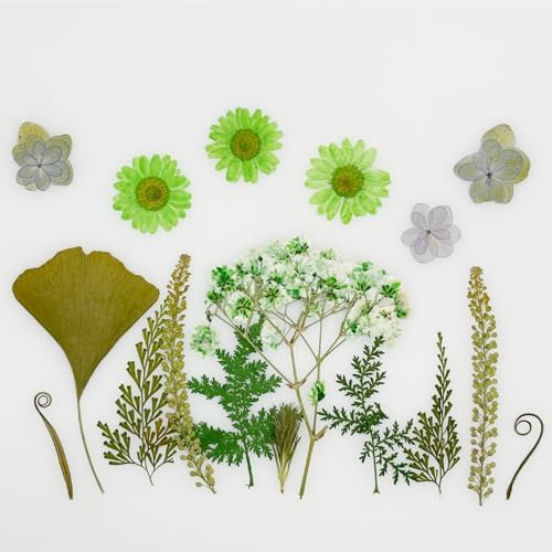 Vue 7 de Cayway Pcs Bricolage Fleurs