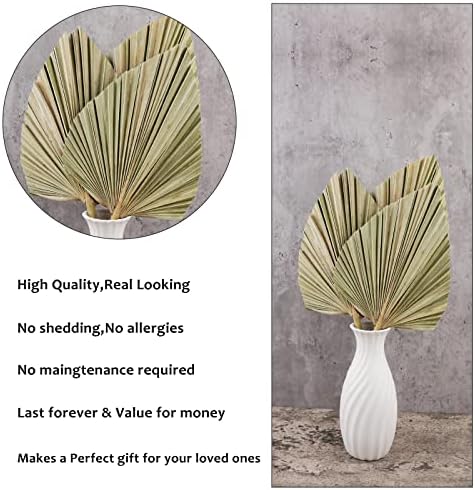 Vue 2 de Pcs Feuilles De Palmier