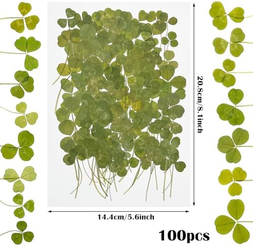 Vue 2 de Cayway Pcs Feuilles Naturelles