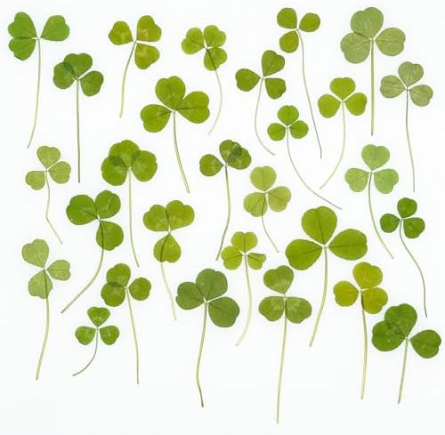 Vue 3 de Cayway Pcs Feuilles Naturelles