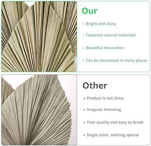 Vue 3 de Pcs Feuilles De Palmier