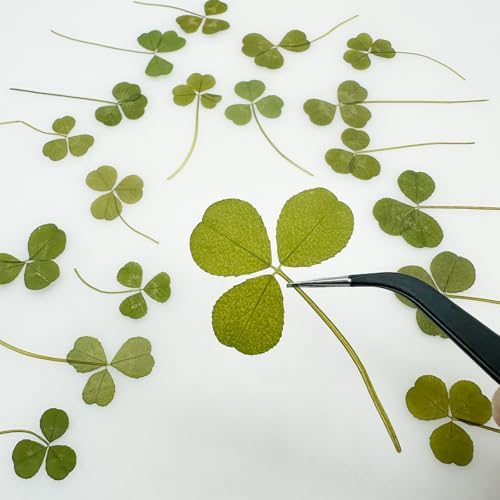 Vue 4 de Cayway Pcs Feuilles Naturelles