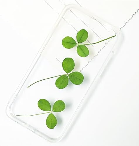 Vue 5 de Cayway Pcs Feuilles Naturelles