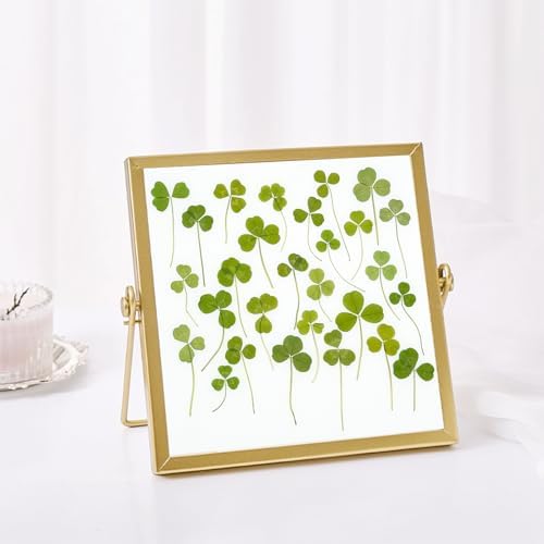 Vue 6 de Cayway Pcs Feuilles Naturelles