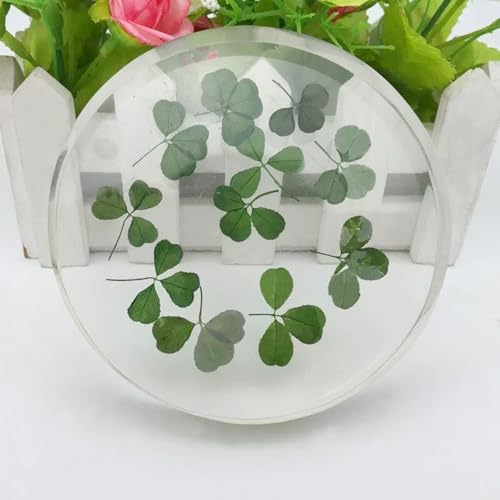 Vue 7 de Cayway Pcs Feuilles Naturelles