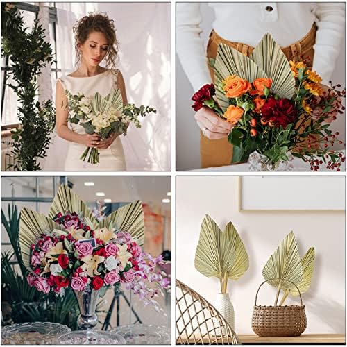 Vue 7 de Pcs Feuilles De Palmier