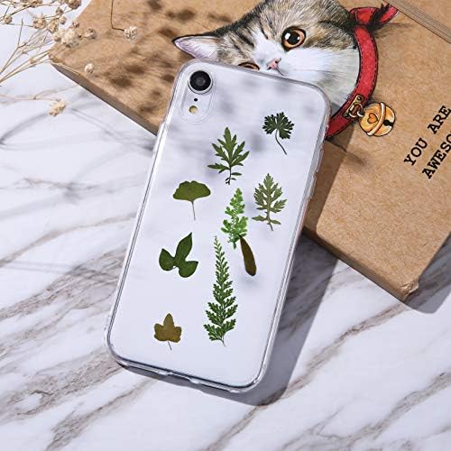 Vue 4 de Pcs Feuilles Sechees Pressees