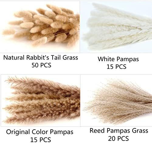 Vue 4 de Decoration En Pampas Sechees