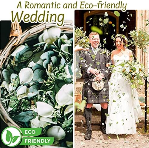 Vue 3 de Oignon Confetti De Feuilles