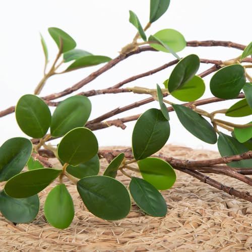 Vue 3 de Pcs Ficus Feuillage Artificiel