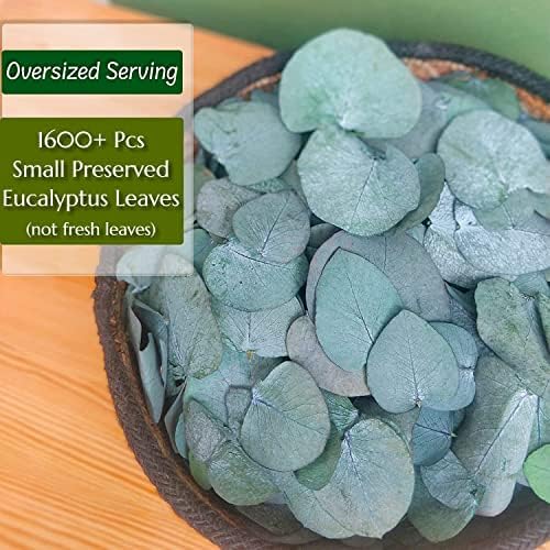 Vue 4 de Oignon Confetti De Feuilles