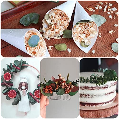 Vue 7 de Oignon Confetti De Feuilles