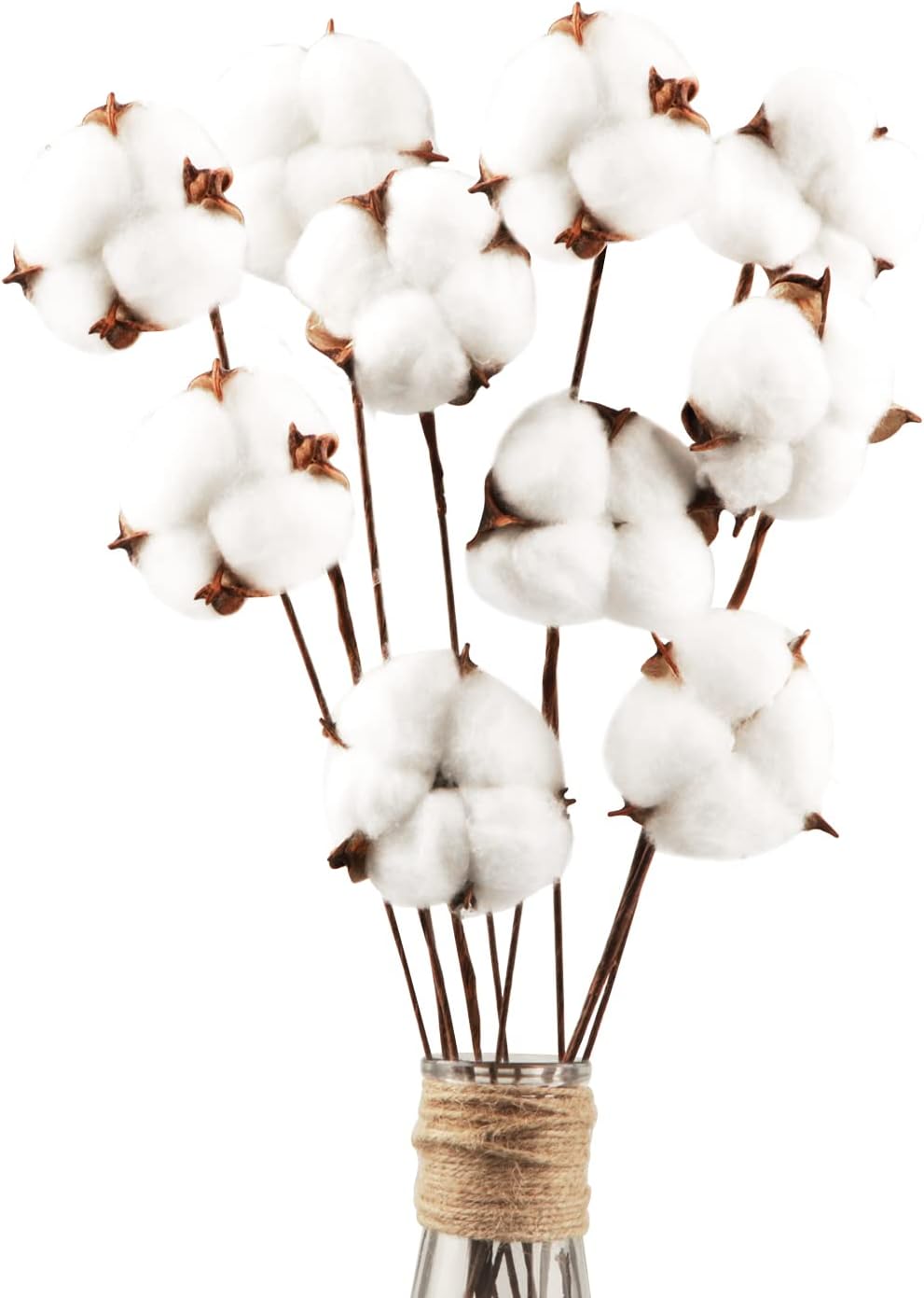 Pack Fleurs De Coton