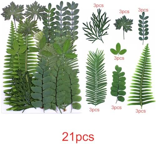 Vue 2 de Cayway Paquet Fleurs Sechees