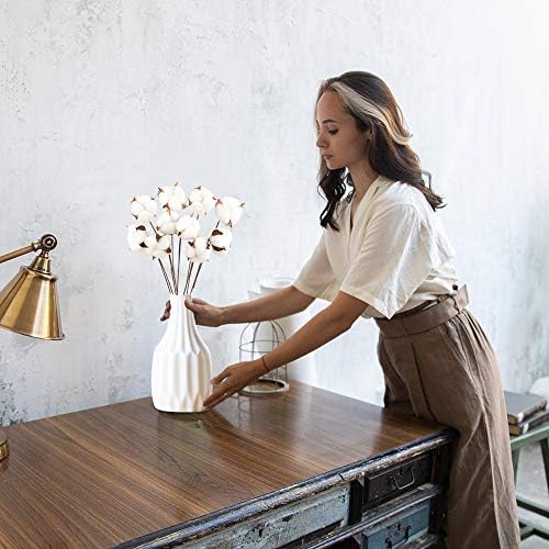 Vue 2 de Pack Fleurs De Coton