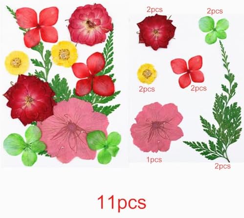 Vue 3 de Cayway Paquet Fleurs Sechees