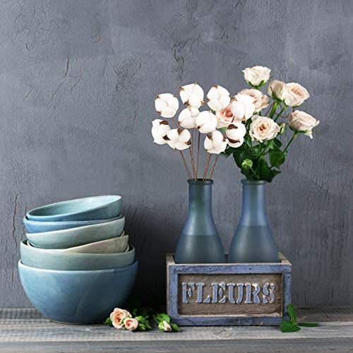 Vue 3 de Pack Fleurs De Coton