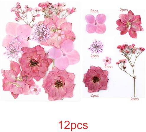 Vue 4 de Cayway Paquet Fleurs Sechees