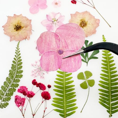 Vue 5 de Cayway Paquet Fleurs Sechees